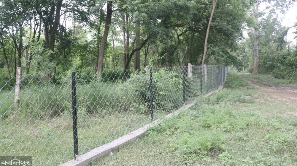 Wire mesh installed in 40 km of forest area to reduce human-wildlife conflict and prevent encroachment