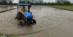 Those who do not worry about fertilizer shortages while planting rice