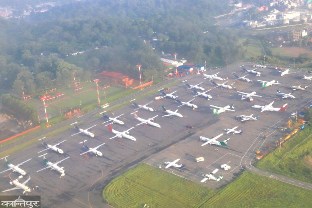 Domestic airline seeks government relief, citing serious financial crisis