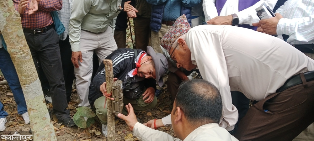 Tiger census begins in Shukla-Laljhadi-Jogbuda complex