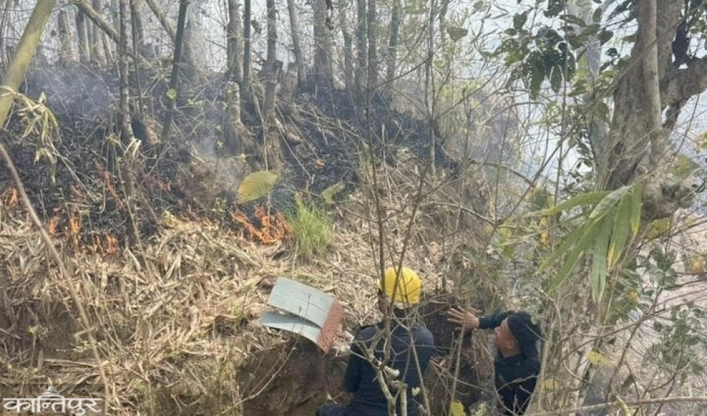Fire breaks out in Salghari Community Forest in Dhankuta, efforts to control it continue