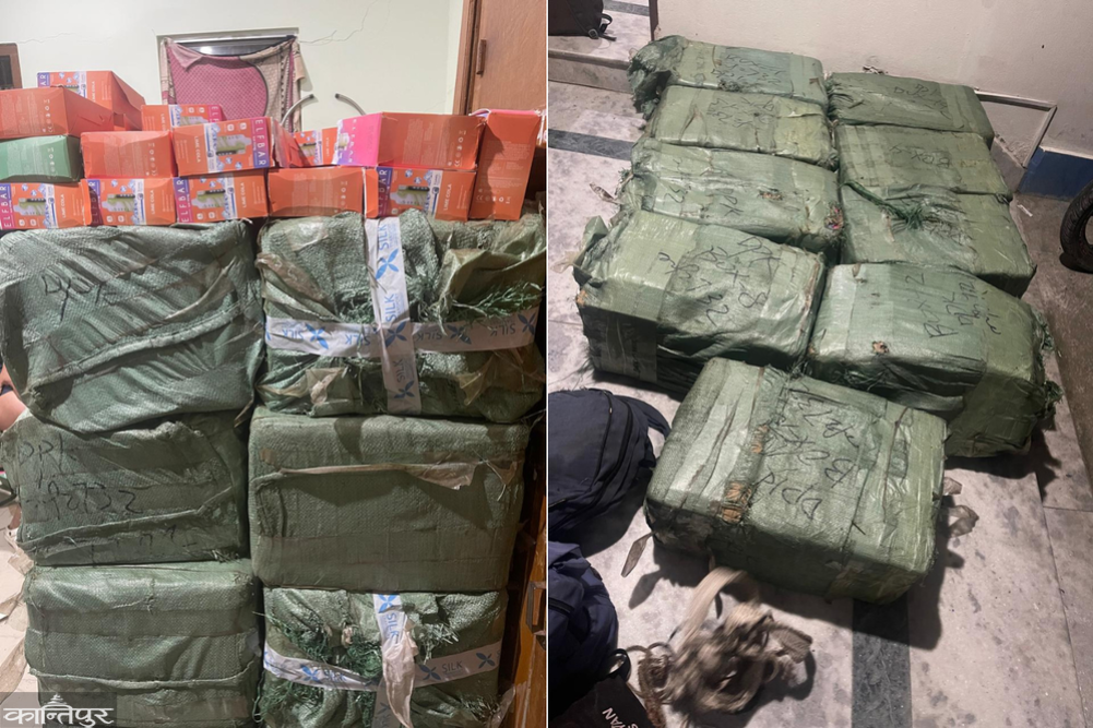 7 arrested with cannabis worth over 5.6 million rupees brought through Chinese forest route in Tatopani