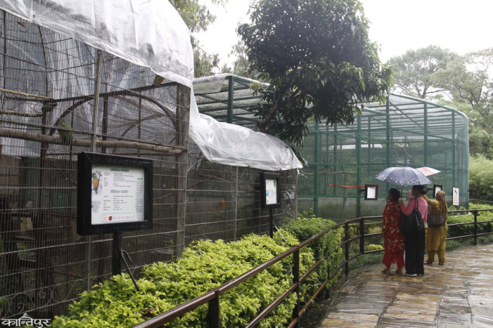 Sadar Zoo opens to public after bird flu eradication