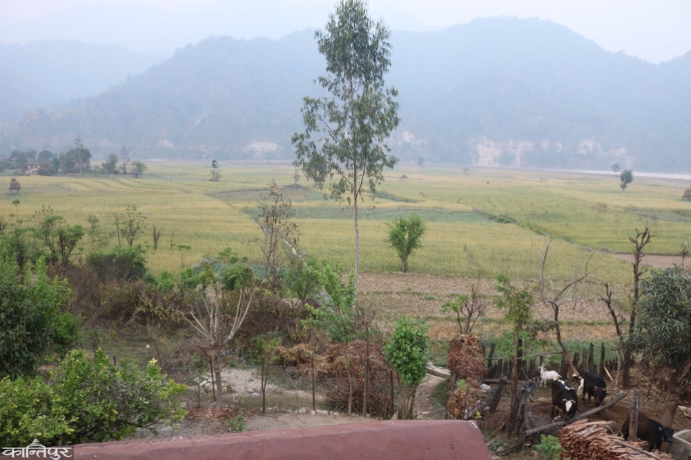 The land along the banks of the river is flooded with rainwater.