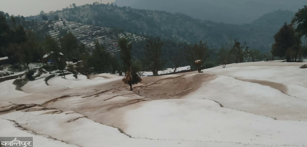 Hailstorm in Baitadi causes major damage to corn and vegetable crops