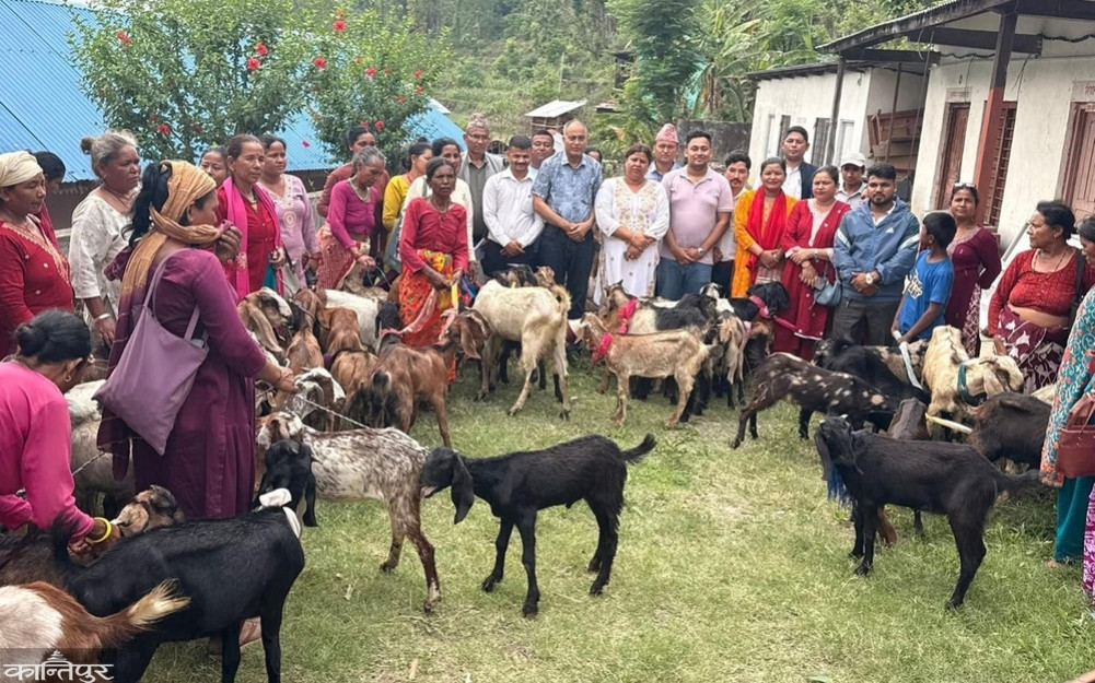152 goats distributed to 76 single women from Dalit community