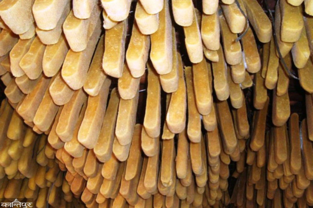Demand for Nepali Chhurpi rising in third countries, exports worth Rs 1.18 billion in just 11 months