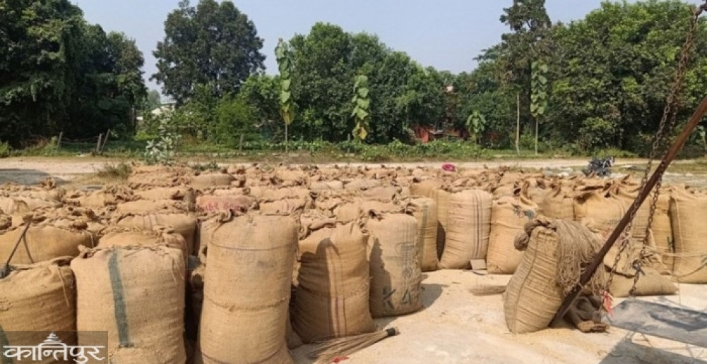 Rice production is decreasing in the granaries themselves.