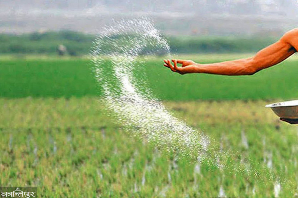 Gulf War disrupts fertilizer supplies, threatens food security