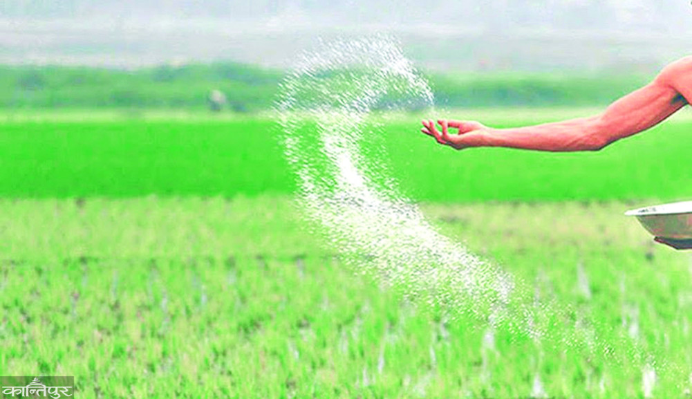 Impact of Iran War on Fertilizer Supply