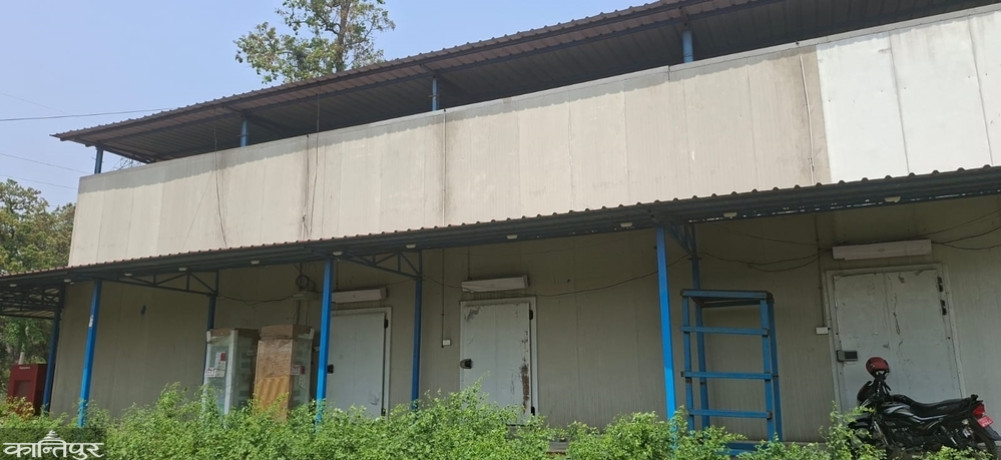 12 cold stores in the Far West have been abandoned for five years
