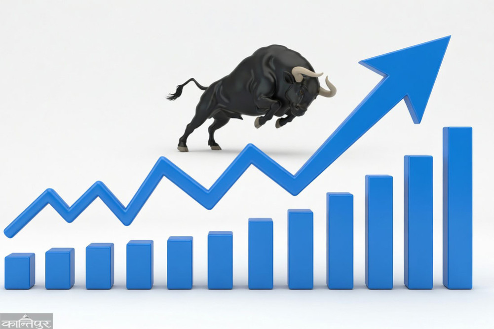 These are the 5 companies that are making the most money even in a declining market