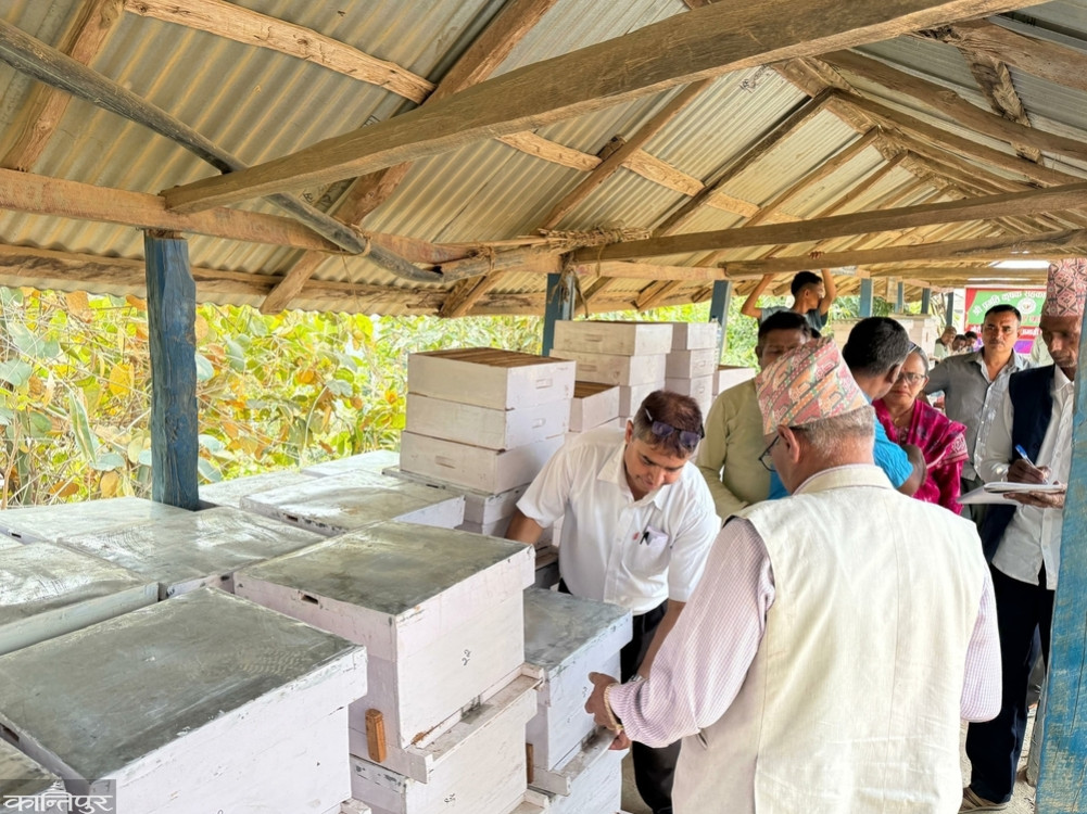 Now the cooperative is responsible for producing honey.