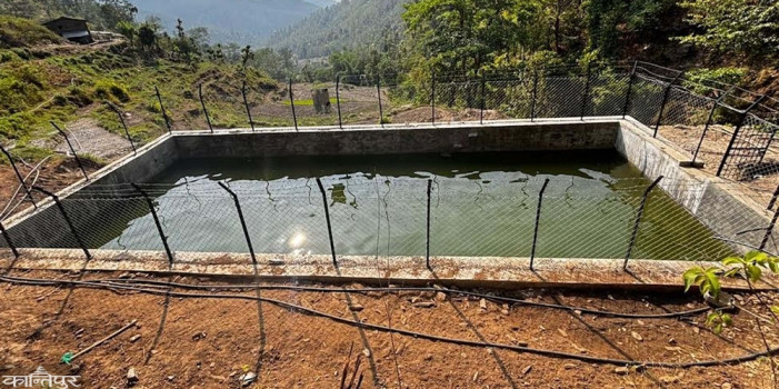 Irrigation ponds bring relief to farmers, paddy planting completed on time