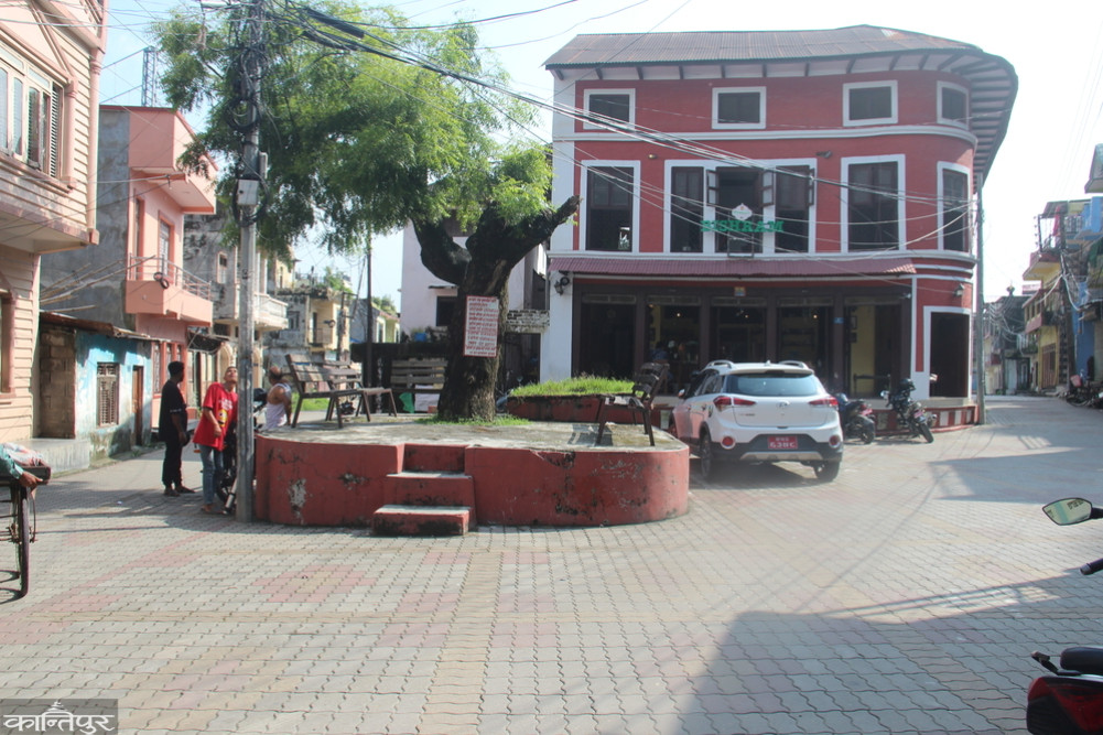 The pace and pace of Batauli slowed down, the traffic circle became brighter.