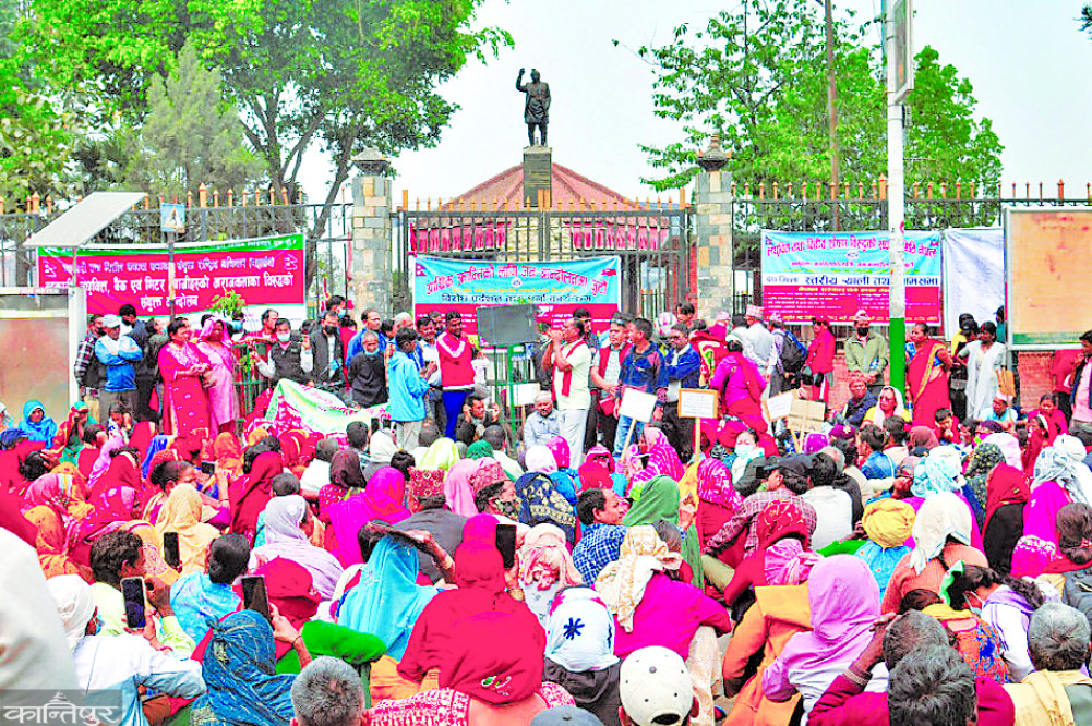 Innovation and transparency in cooperatives