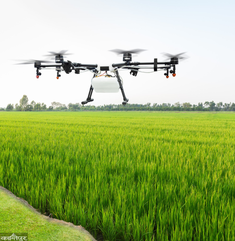 Let's make youth agricultural entrepreneurs
