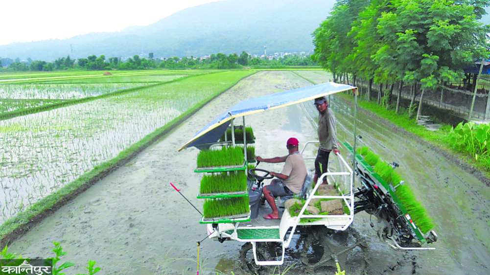 Roadmap to a production-oriented self-reliant economy
