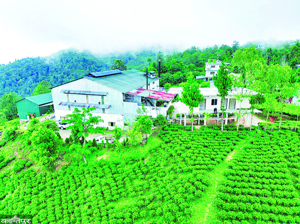 Stability is essential in Nepal-India trade