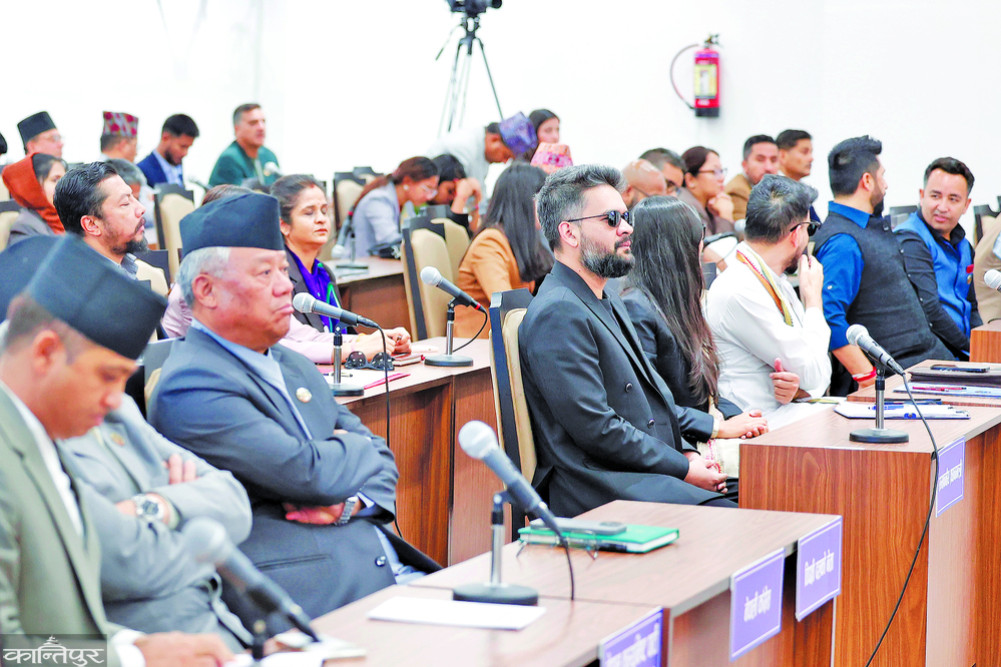 Parliament-Prime Minister: Complementary Roles