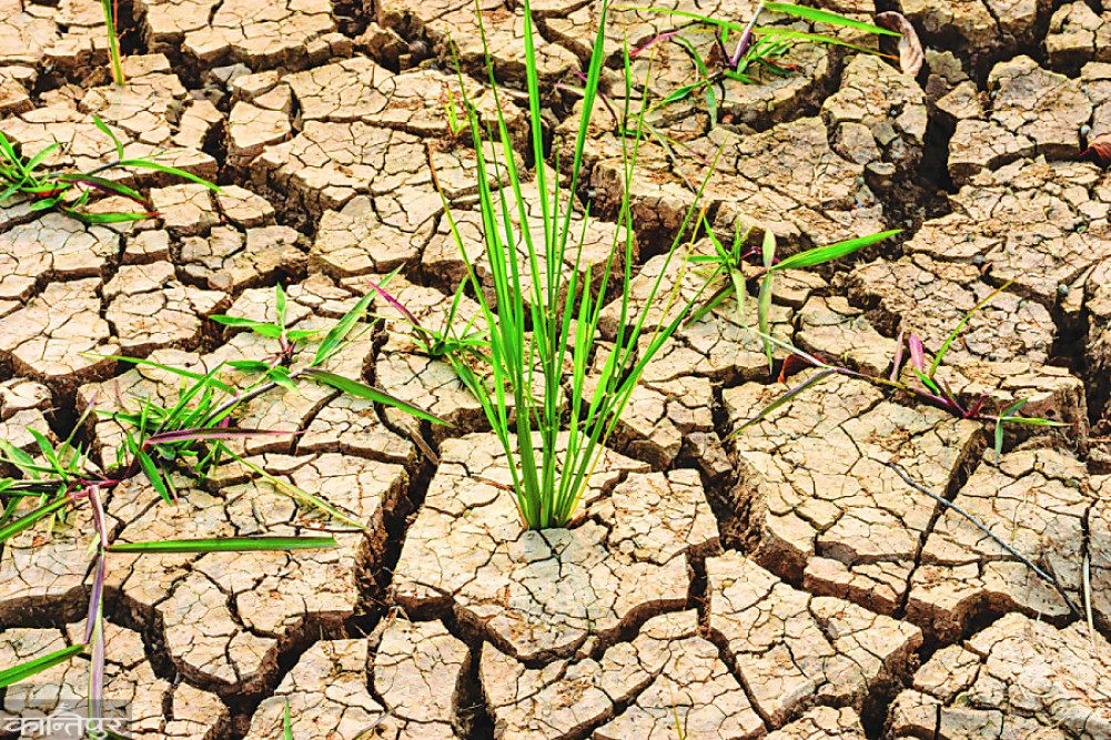 Nepali agricultural economy in the shadow of 'El Nino'
