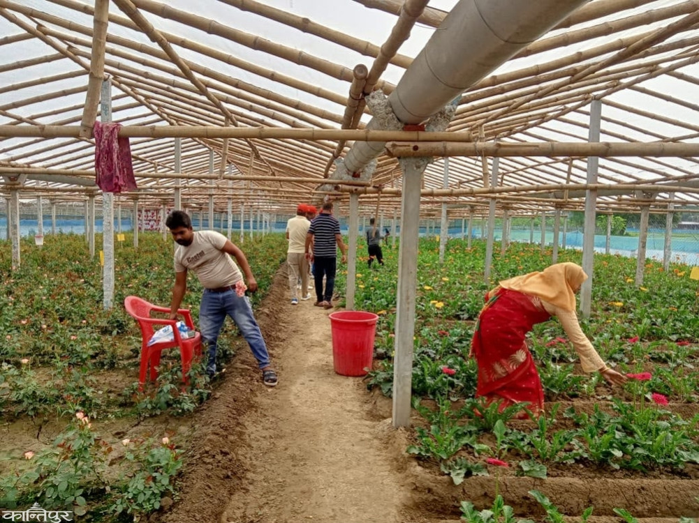 Lessons from the Bangladeshi agricultural model?