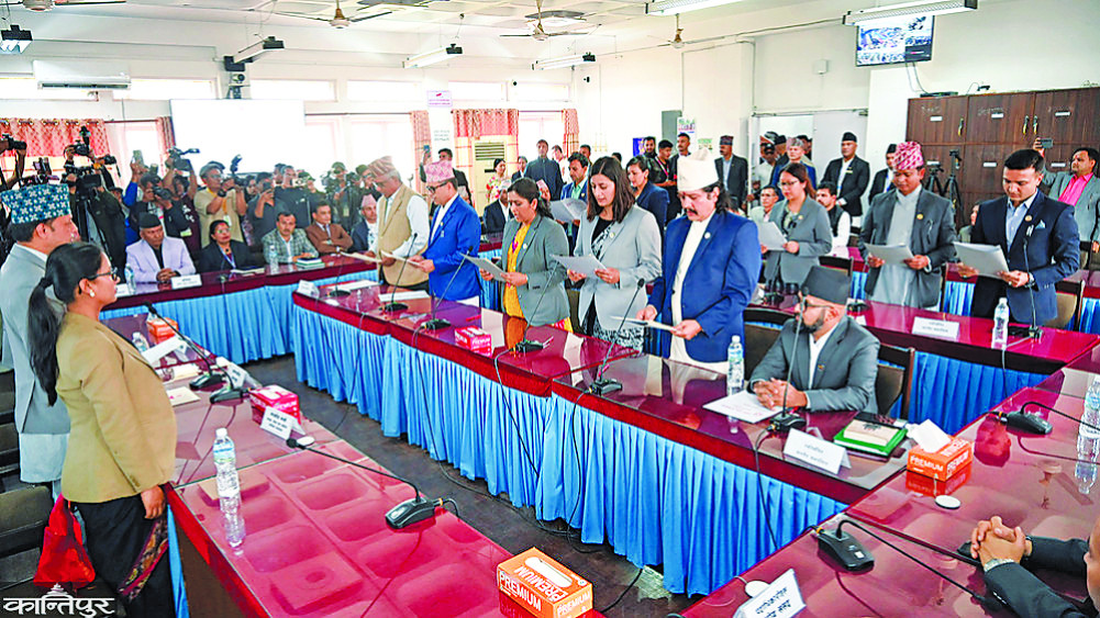 Mini Parliament in the shadow of the majority
