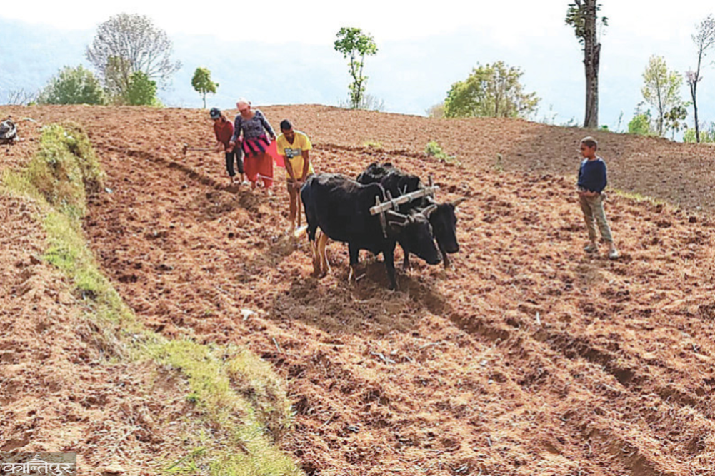 In the name of the state that is killing the soil