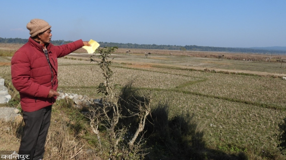 Chitwan election issues: National parks, river erosion, and infrastructure