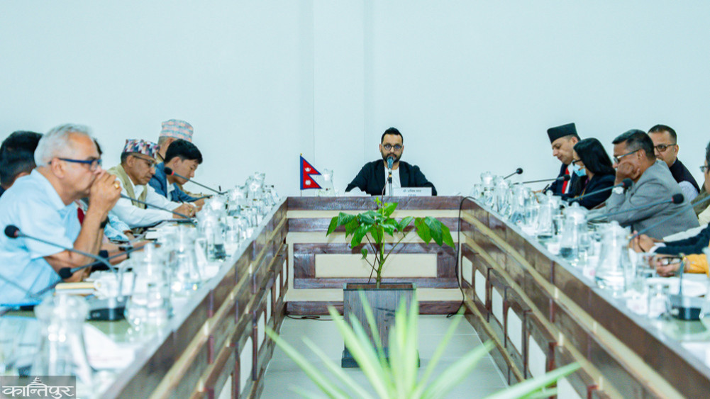 Four parties withdraw from the Constitution Amendment Debate Working Group