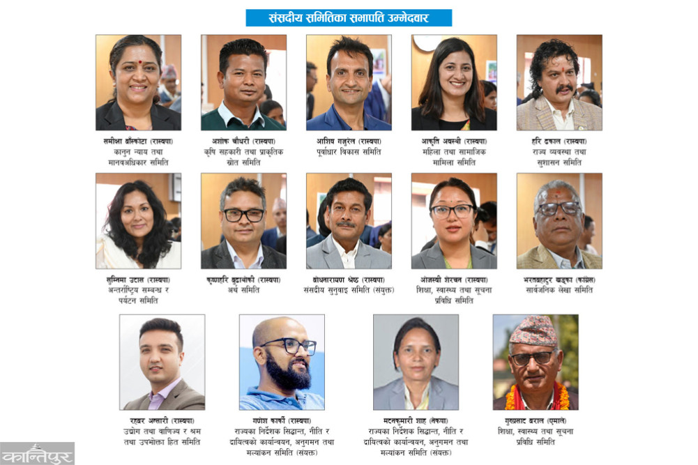 Parliamentary committee chairpersons to be elected today