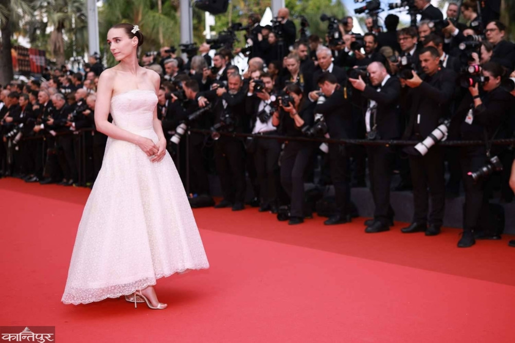 Cannes from Tuesday, these films can grab the world's attention