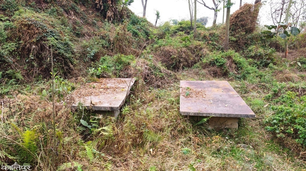 Dhankuta Campus' basketball court turned into bushes, no practice or competition for four years