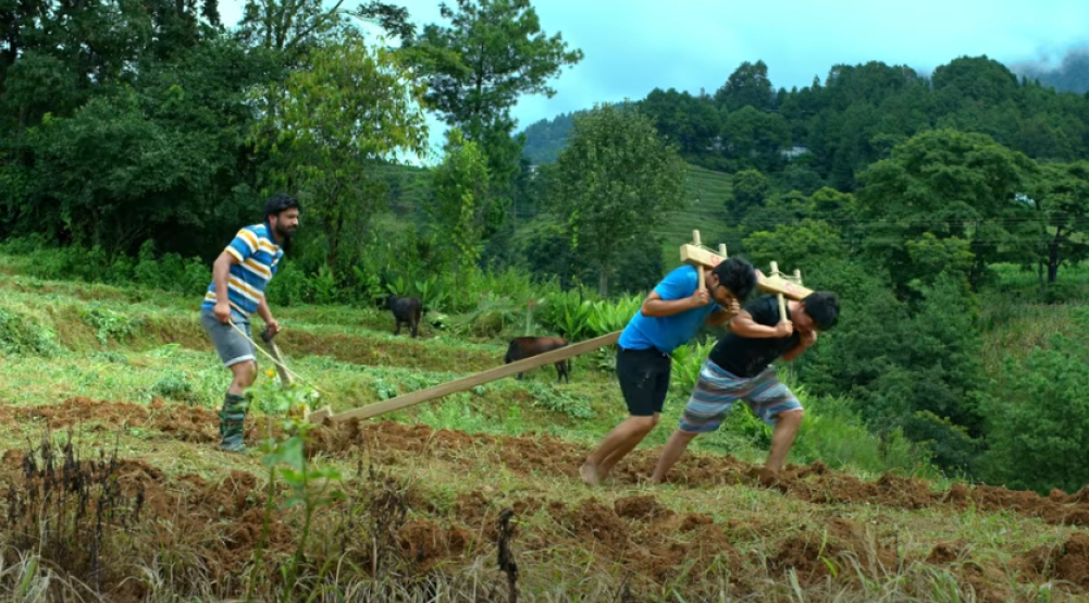 Teaser of 'Hami Teen Bhai': The Story of Three Brothers