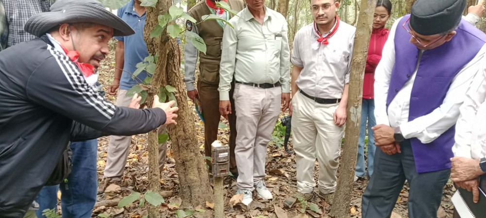 Cameras and memory cards used to count tigers stolen from Shuklaphanta-Jogbuda Complex