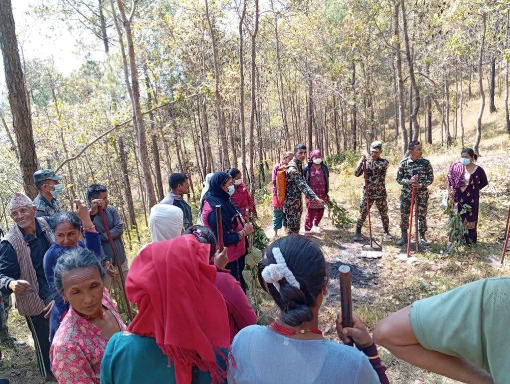 Fire lines in more than 30 forests in Sindhupalchowk, recharge ponds for fire control