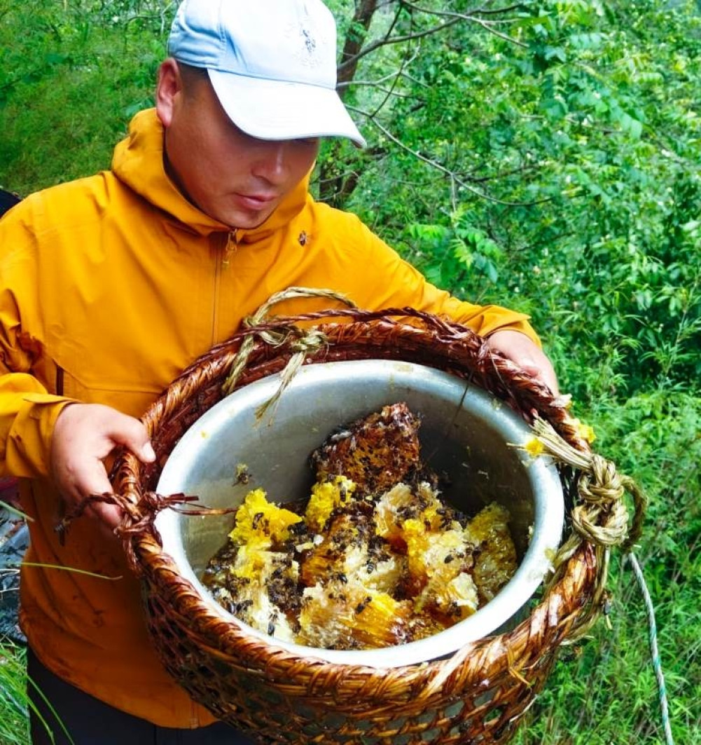 Concerns over stopping Jailbang's honey hunting tradition