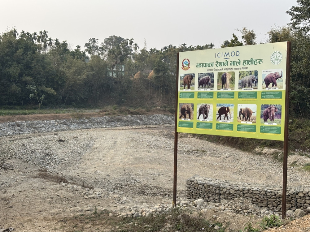 Controlling the elephant terror of Bahundangi is always an election agenda