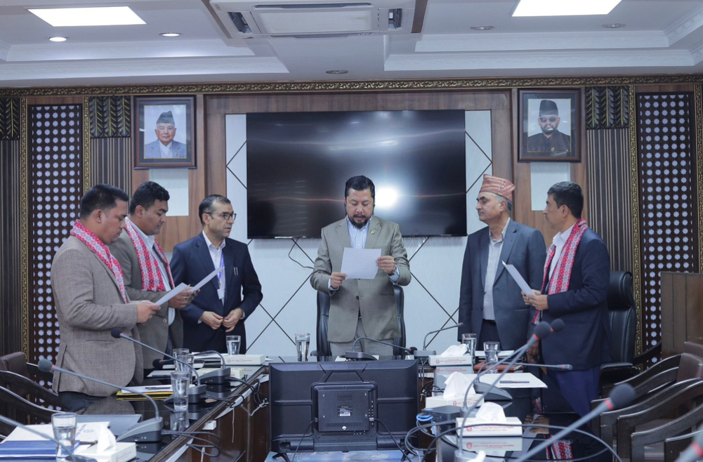 Shahi and Basel appointed to the board of directors of the Electricity Authority
