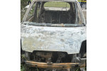Identity of person killed in car fire revealed