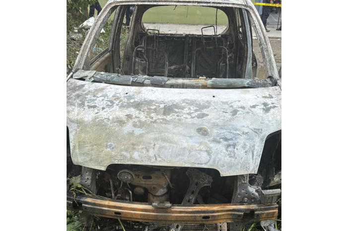 Identity of person killed in car fire revealed