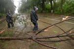 11 dead, one missing in China storm