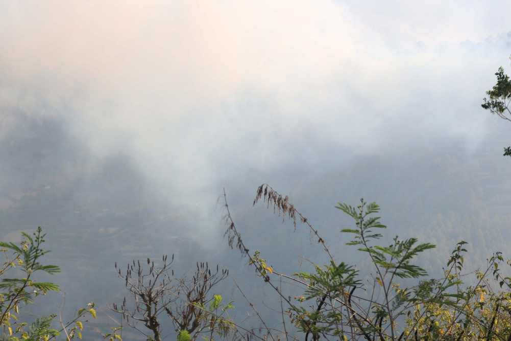 Fire has been raging in Salyan's community forest for a week