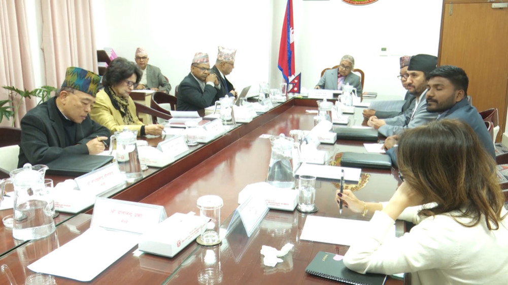 Council of Ministers meeting: Formation of a commission of inquiry into the irregularities in cooperatives