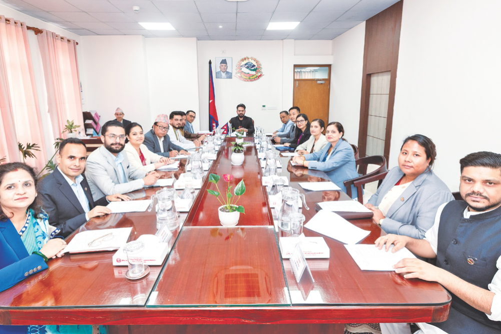 The Task of Sustainable Institutional Governance Reform
