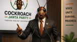 Cockroach’s Journey: The Campaign That Started as an Online Joke Forced the Government to Kneel