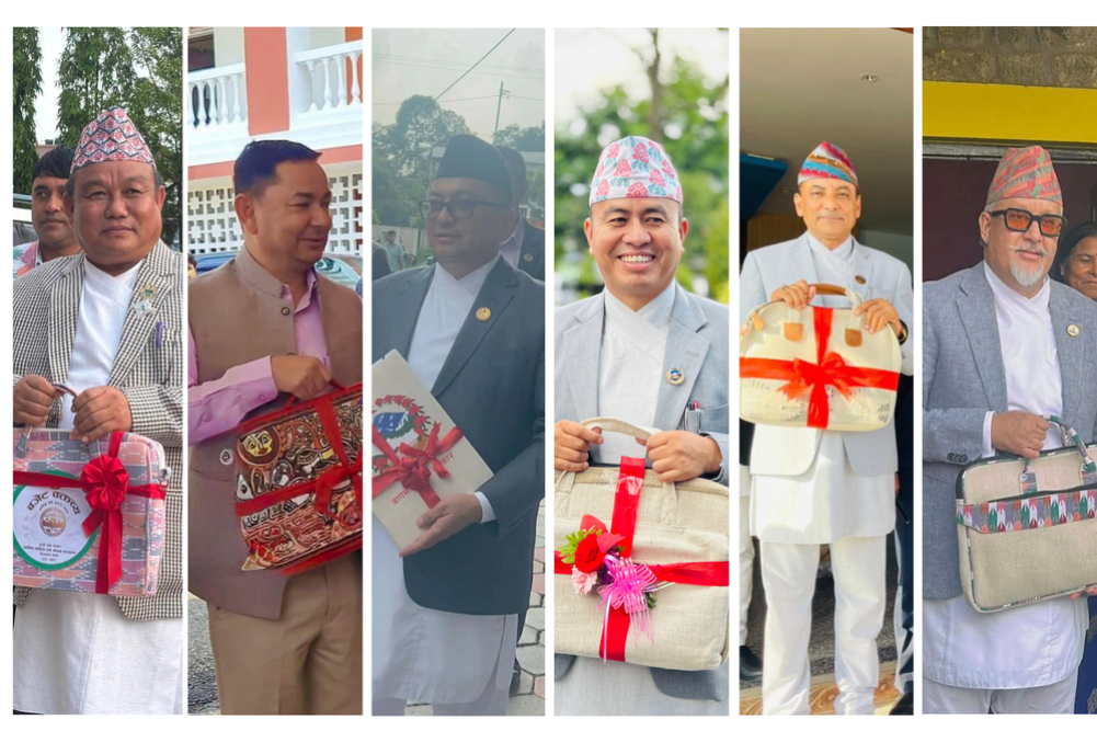 The budgets of all seven provincial governments are being made public, what are the main priorities?