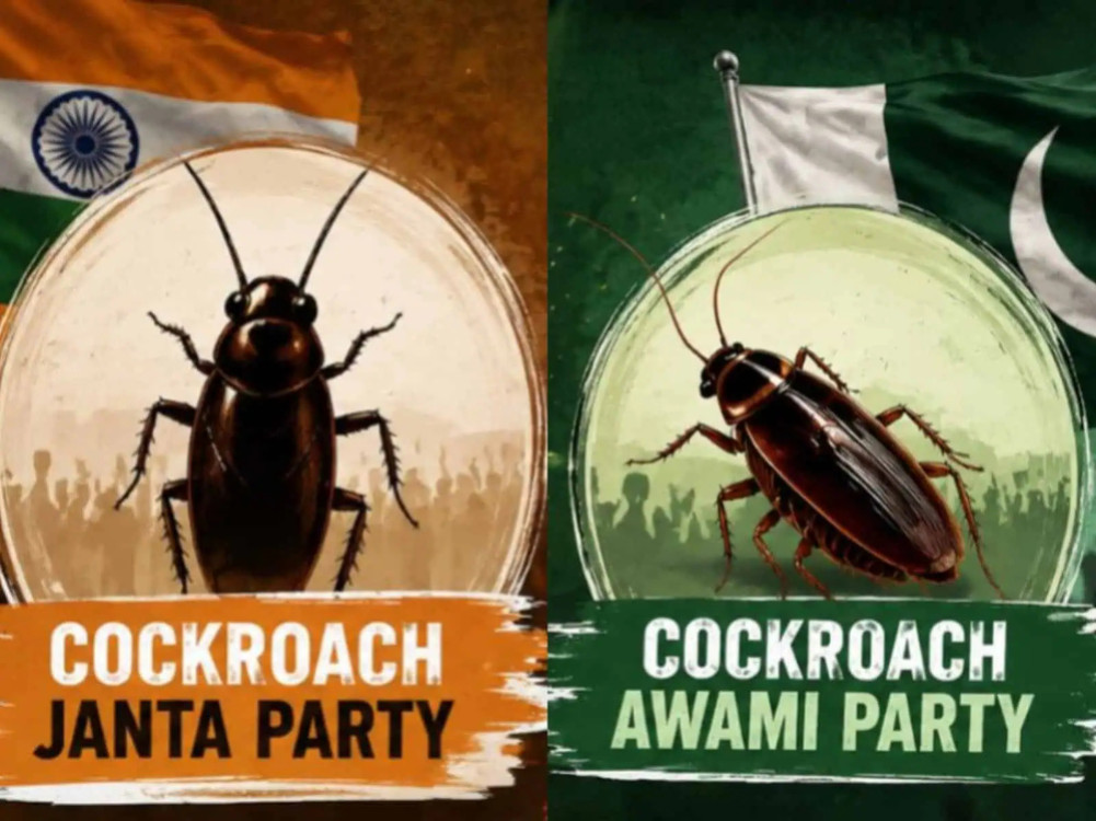 Cockroach campaign launched in Pakistan too