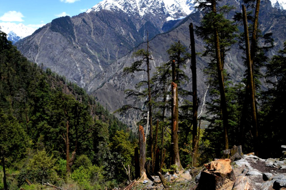 12.31 billion budget for the forest, environment and climate sectors