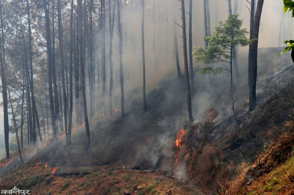 Fire breaks out in 12 community forests in Banke, affecting 4,000 hectares of land